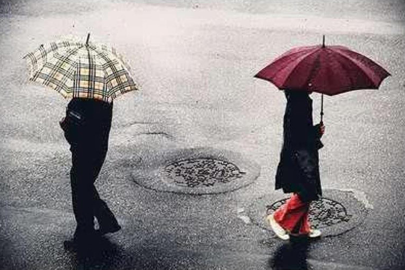 Câu chuyện: Sửa mũ cho vua, nhổ gai cho hổ